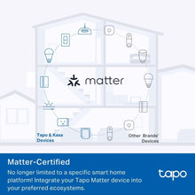 Tapo P110M WiFi Smart Plug – Energy Monitoring, MATTER Compatible, Works with Alexa, Google, Apple HomeKit, SmartThings, Device Sharing