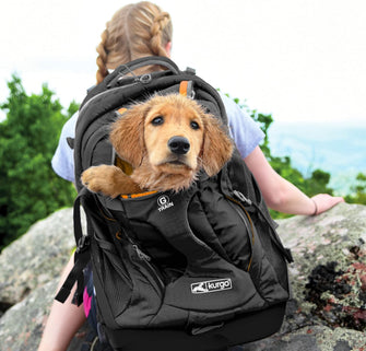 Buy Kurgo,Kurgo G-Train Pack, Carrier Backpack for Small Dogs and Cats, Ideal for Hiking or Travel, Waterproof Bottom, Black - Gadcet UK | UK | London | Scotland | Wales| Ireland | Near Me | Cheap | Pay In 3 | Apparel & Accessories