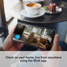 Blink Mini | Indoor plug-in pet security camera, 1080p HD day and night video, motion detection, two-way audio, easy setup, Alexa enabled, Blink Subscription Plan Free Trial — 1 camera (Black) - 4