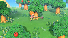 Animal Crossing: New Horizons (Nintendo Switch) - 5