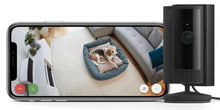 Ring Indoor Camera (2nd Gen) by Amazon | Plug-In Pet Security Camera | 1080p HD, Two-Way Talk, Wifi, Privacy Cover, DIY | alternative to CCTV system | 30-day free trial of Ring Protect - 1