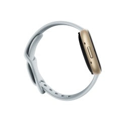 Fitbit,Fitbit Sense 2 Smart Watch - Blue Mist/ Soft Gold - Gadcet.com